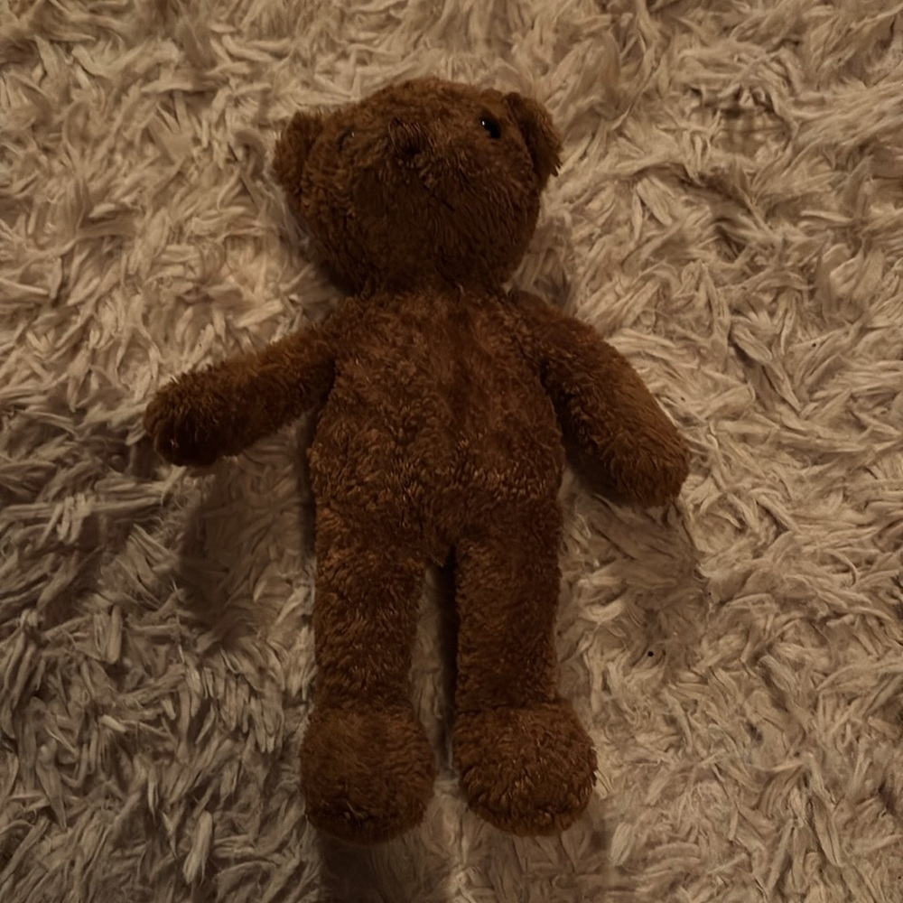 Brown Teddy